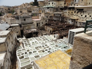 Visiting the tanneries