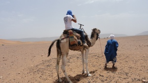 Mounting Camel