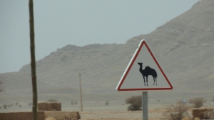 Watch out for CAMELS