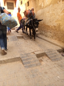 Typical traffic in the medina